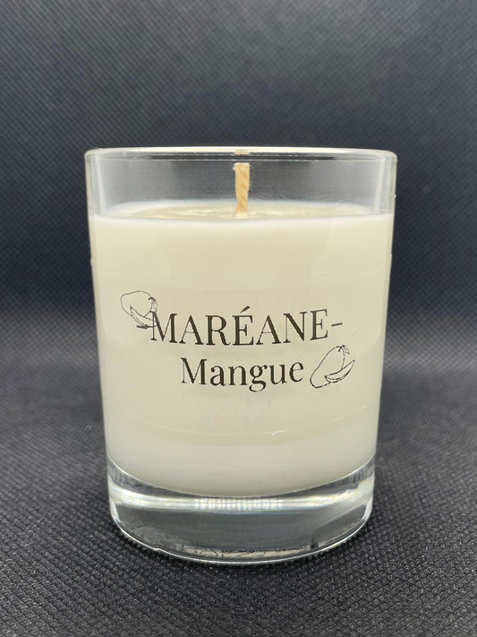 Bougie Parfumée Mangue 9cl